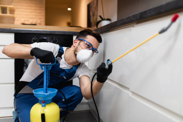 Professional Pest Control in Fort Irwin, CA