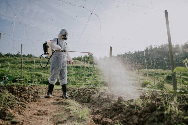 Best Commercial Pest Control Services  in Fort Irwin, CA