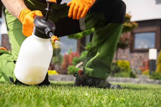 Best Commercial Pest Control Services  in Fort Irwin, CA