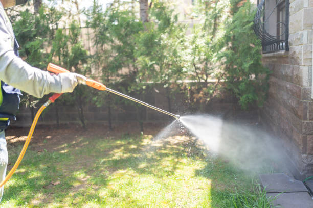 Best Affordable Pest Control Services  in Fort Irwin, CA