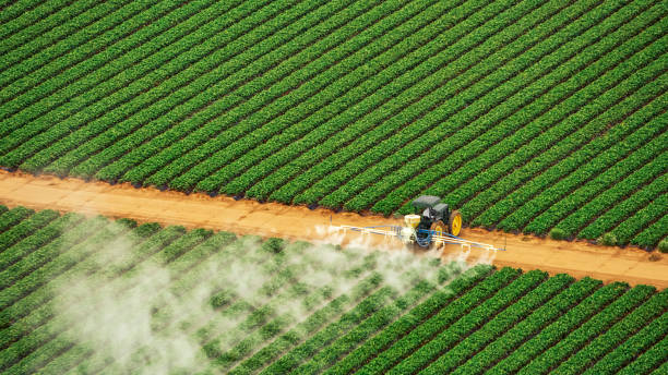 Best Mosquito Control Services  in Fort Irwin, CA